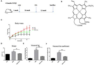 Green Plant Pigment, Chlorophyllin, Ameliorates Non-alcoholic Fatty Liver Diseases (NAFLDs) Through Modulating Gut Microbiome in Mice